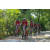 Team 129 / Raid Amazones Sri Lanka 2018 - J3 VTT