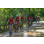 Team 108 / Raid Amazones Sri Lanka 2018 - J3 VTT