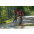 Team 145 / Raid Amazones Sri Lanka 2018 - J3 VTT