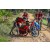 Team 23 / Raid Amazones Sri Lanka 2018 - J3 VTT