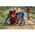 Team 23 / Raid Amazones Sri Lanka 2018 - J3 VTT