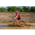 Team 70 / Raid Amazones Sri Lanka 2018 - J3 VTT