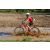 Team 118 / Raid Amazones Sri Lanka 2018 - J3 VTT
