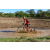 Team 118 / Raid Amazones Sri Lanka 2018 - J3 VTT