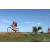 Team 118 / Raid Amazones Sri Lanka 2018 - J3 VTT