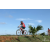 Team 126 / Raid Amazones Sri Lanka 2018 - J3 VTT
