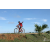 Team 22 / Raid Amazones Sri Lanka 2018 - J3 VTT