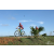 Team 22 / Raid Amazones Sri Lanka 2018 - J3 VTT