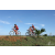 Team 46 / Raid Amazones Sri Lanka 2018 - J3 VTT