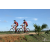 Team 19 / Raid Amazones Sri Lanka 2018 - J3 VTT