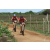 Team 12 / Raid Amazones Sri Lanka 2018 - J3 VTT