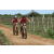 Team 12 / Raid Amazones Sri Lanka 2018 - J3 VTT