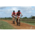 Team 50 / Raid Amazones Sri Lanka 2018 - J3 VTT