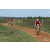 Team 112 / Raid Amazones Sri Lanka 2018 - J3 VTT