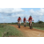 Team 150 / Raid Amazones Sri Lanka 2018 - J3 VTT