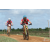 Team 54 / Raid Amazones Sri Lanka 2018 - J3 VTT