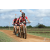 Team 109 / Raid Amazones Sri Lanka 2018 - J3 VTT