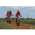 Team 131 / Raid Amazones Sri Lanka 2018 - J3 VTT