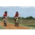 Team 80 / Raid Amazones Sri Lanka 2018 - J3 VTT