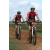 Team 108 / Raid Amazones Sri Lanka 2018 - J3 VTT
