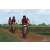 Team 145 / Raid Amazones Sri Lanka 2018 - J3 VTT