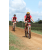 Team 104 / Raid Amazones Sri Lanka 2018 - J3 VTT