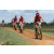 Team 104 / Raid Amazones Sri Lanka 2018 - J3 VTT