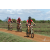 Team 70 / Raid Amazones Sri Lanka 2018 - J3 VTT