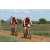 Team 77 / Raid Amazones Sri Lanka 2018 - J3 VTT
