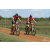 Team 78 / Raid Amazones Sri Lanka 2018 - J3 VTT