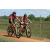 Team 78 / Raid Amazones Sri Lanka 2018 - J3 VTT