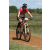 Team 13 / Raid Amazones Sri Lanka 2018 - J3 VTT