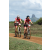 Team 59 / Raid Amazones Sri Lanka 2018 - J3 VTT