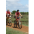 Team 59 / Raid Amazones Sri Lanka 2018 - J3 VTT