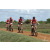 Team 125 / Raid Amazones Sri Lanka 2018 - J3 VTT