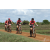Team 111 / Raid Amazones Sri Lanka 2018 - J3 VTT