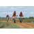 Team 73 / Raid Amazones Sri Lanka 2018 - J3 VTT