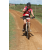 Team 31 / Raid Amazones Sri Lanka 2018 - J3 VTT