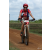 Team 22 / Raid Amazones Sri Lanka 2018 - J3 VTT