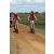 Team 64 / Raid Amazones Sri Lanka 2018 - J3 VTT