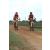 Team 01 / Raid Amazones Sri Lanka 2018 - J3 VTT