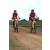 Team 01 / Raid Amazones Sri Lanka 2018 - J3 VTT