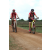 Team 01 / Raid Amazones Sri Lanka 2018 - J3 VTT
