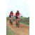 Team 74 / Raid Amazones Sri Lanka 2018 - J3 VTT