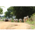 Raid Amazones Sri Lanka 2018 - J3 VTT