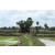 Raid Amazones Sri Lanka 2018 - J3 VTT