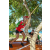 Team 150 / Raid Amazones Sri Lanka 2018 - J3 VTT