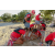 Team 137 / Raid Amazones Sri Lanka 2018 - J3 VTT