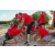 Team 138 / Raid Amazones Sri Lanka 2018 - J3 VTT