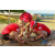 Team 141 / Raid Amazones Sri Lanka 2018 - J3 VTT